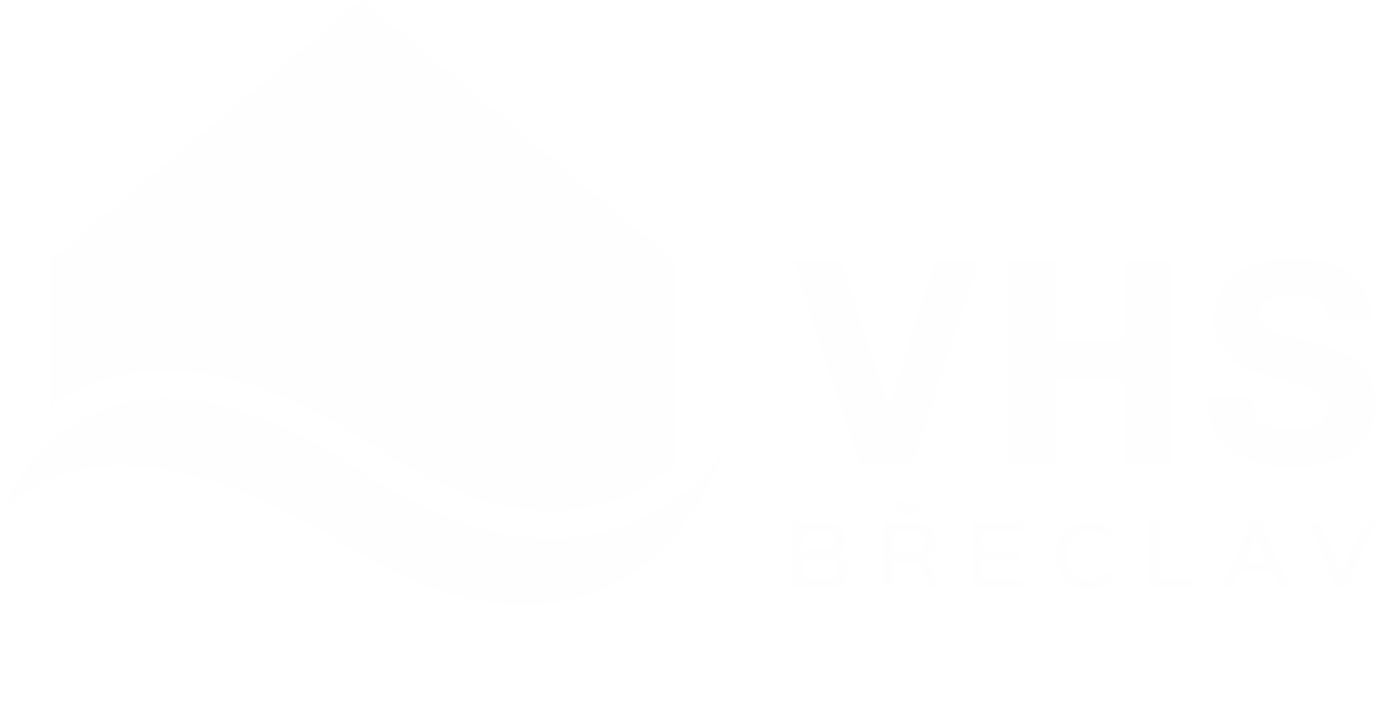 VHS